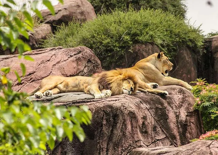 Hotel Ogbordeaux Aeroport